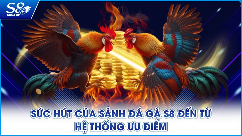 Sức hút của sảnh Đá Gà S8 đến từ hệ thống ưu điểm