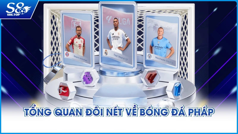 Tổng quan đôi nét về bóng đá Pháp